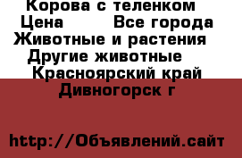 Корова с теленком › Цена ­ 69 - Все города Животные и растения » Другие животные   . Красноярский край,Дивногорск г.